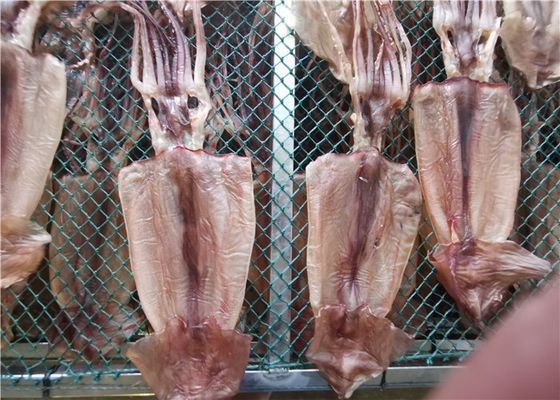 quality Bulk Seafood 80g 90g ปลาหมึกแห้งทั้งตัวสำหรับร้านอาหาร factory